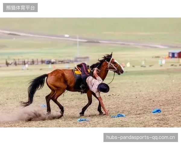 马术花式赛惊现“空翻奇迹”背后:一场高难度动作的“跌倒”盛宴 马术花式赛惊现“空翻奇迹”背后:一场高难度动作的“跌倒”盛宴
